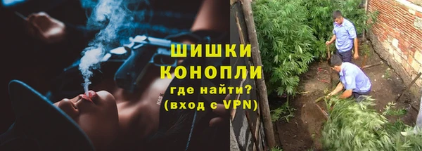 гидра Балабаново