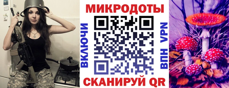 Псилоцибиновые грибы Psilocybine cubensis  Шарья 